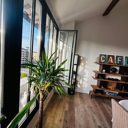 Le Perchoir- Vue Imprenable Sur Ville - Wifi Perpignan Eksteriør bilde